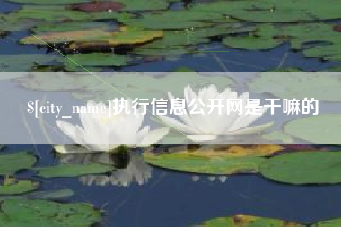 普洱执行信息公开网是干嘛的