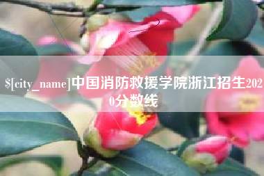 普洱中国消防救援学院浙江招生2020分数线