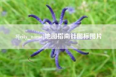 普洱地图指南针图标图片