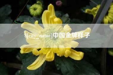 普洱中国金牌样子