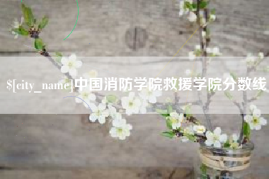 普洱中国消防学院救援学院分数线