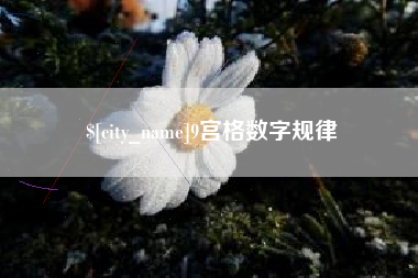 普洱9宫格数字规律