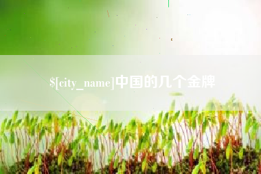 普洱中国的几个金牌