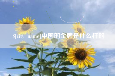 普洱中国的金牌是什么样的