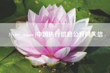 普洱中国执行信息公开网失信