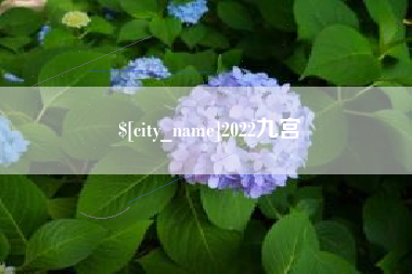 普洱2022九宫