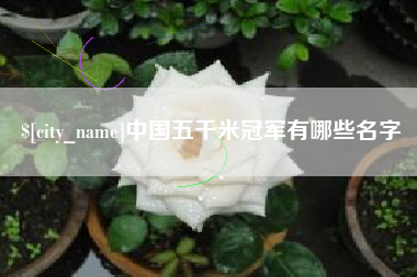 普洱中国五千米冠军有哪些名字