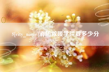 普洱消防救援学院要多少分