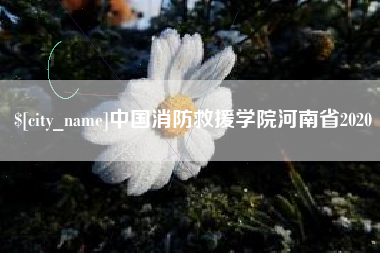 普洱中国消防救援学院河南省2020